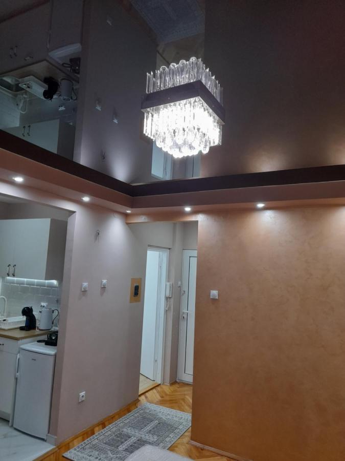 Iva Lux Apartman Заєчар Екстер'єр фото